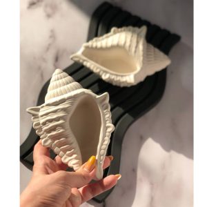 شات سنگی صدف حلزونی دریایی