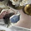 شمع دریایی مدل گوش ماهی کد 4510